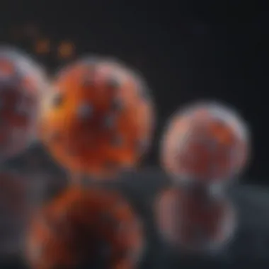 Magnificent Exploring SGLT2 Inhibitors: Applications and Current Research Magnificent Exploring SGLT2 Inhibitors: Applications and Current Research