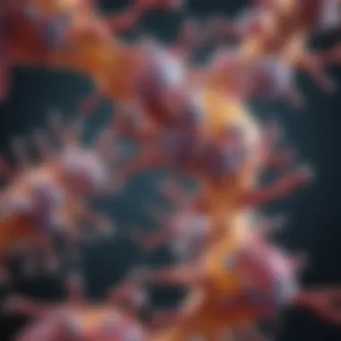 Magnificent Insights into Myeloperoxidase and Protease 3 Antibodies Magnificent Insights into Myeloperoxidase and Protease 3 Antibodies