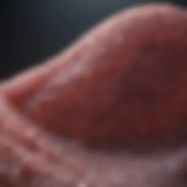 Magnificent Survival Rate of Stage 4 Pancreatic Cancer: An In-Depth Analysis Magnificent Survival Rate of Stage 4 Pancreatic Cancer: An In-Depth Analysis