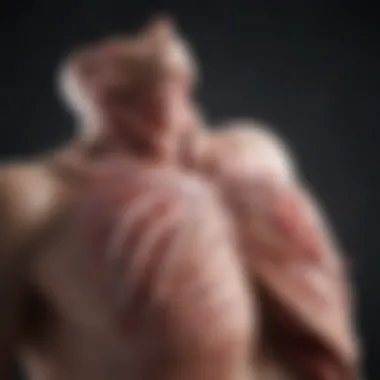 Magnificent Understanding Stage 4 Lung Cancer Mortality Rates