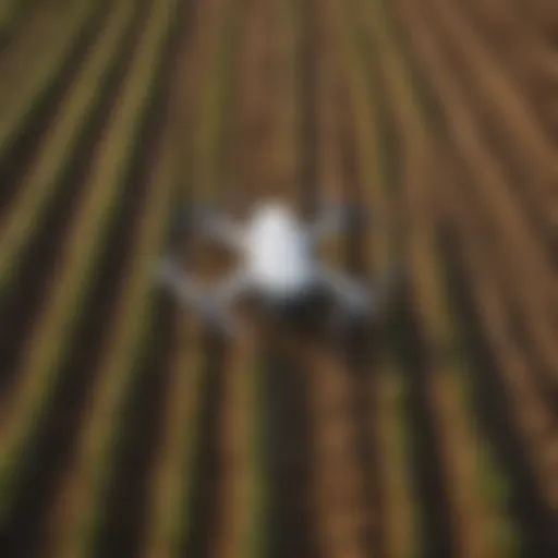 Drone surveying crops from above