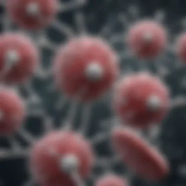 Mechanism of Action of Norfloxacin Illustration depicting the mechanism of action of Norfloxacin in bacterial cells.
