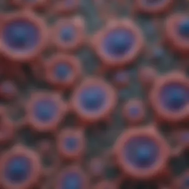 Microscopic view of lung cell cultures