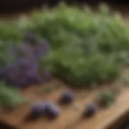 A variety of antitumor herbs displayed on a wooden surface