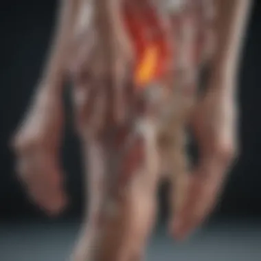 Mechanisms of Pain Relief in Arthritis Illustration of arthritis pain relief mechanisms