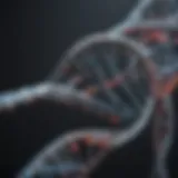 A close-up of DNA strands representing genetic testing