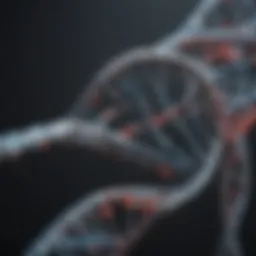 A close-up of DNA strands representing genetic testing