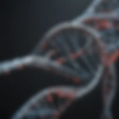 Understanding DNA Structure A close-up of DNA strands representing genetic testing