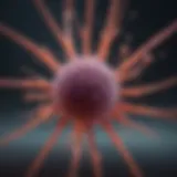 Diagram illustrating the mechanism of CAR T cell therapy