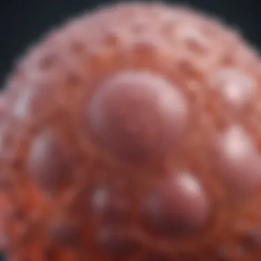 The Role of Cell Membranes Graphic representation of cell membranes and their functions