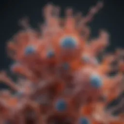 Detailed structure of Fibroblast Growth Factor Receptors