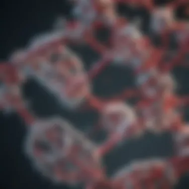 RNA Extraction Techniques Illustration of RNA extraction techniques