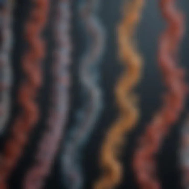 Variety of RNA types illustrated