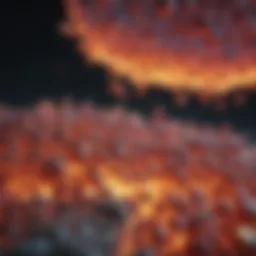 Detailed structure of phosphorylation
