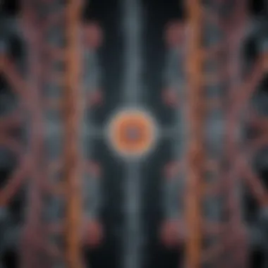 Symmetrical Structures in Molecular Biology Symmetrical structures in molecular biology
