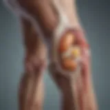 Illustration of osteoarthritis pathophysiology