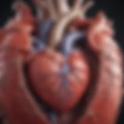 Illustration depicting the heart's structure and function in congestive heart failure.