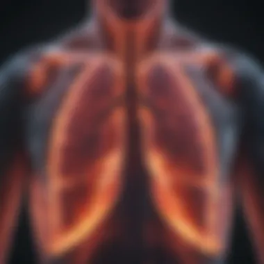 Radiological scan showing cystic lung formations