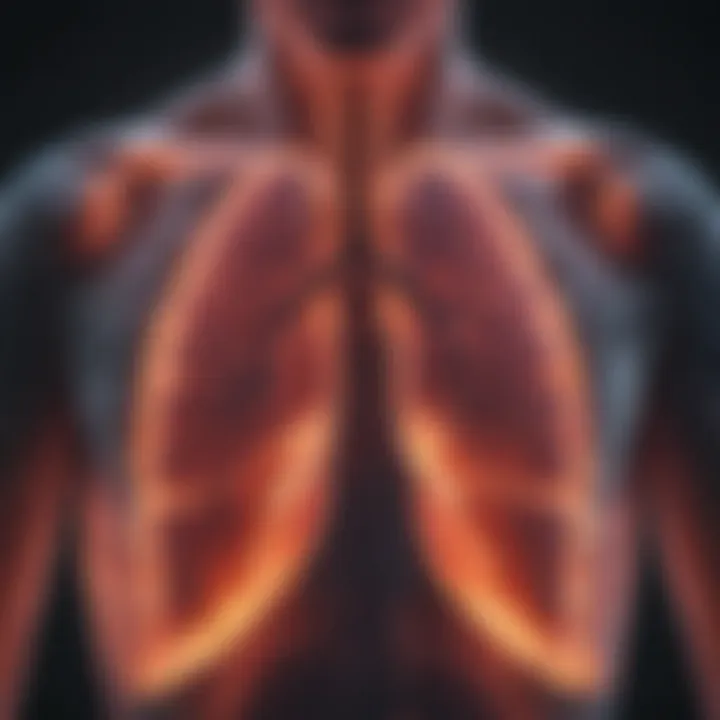 Radiological scan showing cystic lung formations