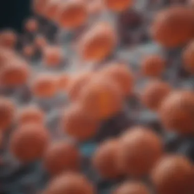 Cellular growth in culture medium