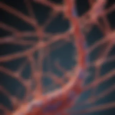 Cytoskeleton and Cell Integrity Illustration showcasing the cytoskeleton's role in maintaining cell shape