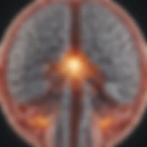 Illustration showing the brain's anatomy with DBS placement