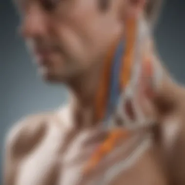 Symptoms of Ankylosing Spondylitis Graphic representation of common symptoms associated with Ankylosing Spondylitis
