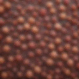 Microscopic view of microorganisms commonly found in food samples