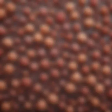 Microscopic Exploration of Foodborne Microorganisms Microscopic view of microorganisms commonly found in food samples