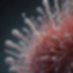 Microscopic view of bacteria culture