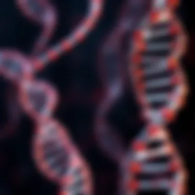 Functions of DNA and RNA: Key Differences Comparison chart of DNA and RNA functions