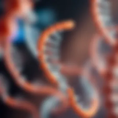 Structure of RNA: Single Stranded Configuration Diagram illustrating the structure of RNA