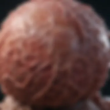 Tumor Necrosis Factors: Influence on Health and Disease Overview of tumor necrosis factors and their impact on health