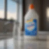 Clorox bleach bottle against a clean surface