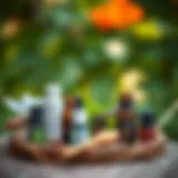 Various essential oils known for repelling mosquitoes