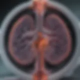 Illustration of noncalcified lung nodules on a CT scan