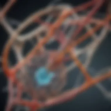 Understanding the Exome Structure Diagram illustrating the structure of the exome