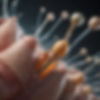 Overview of contemporary bladder implants