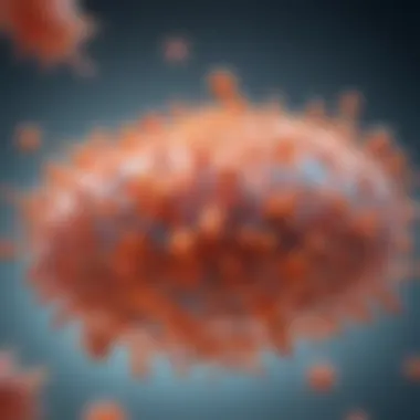 Molecular Basis of Chronic Myelogenous Leukemia A molecular representation of the Philadelphia chromosome associated with CML