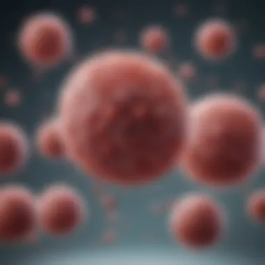 Advancements in Stem Cell Transplantation for CML A diagram showcasing advancements in stem cell transplantation for CML