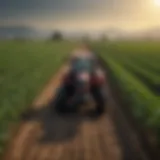 Diverse crop fields showcasing innovative agricultural techniques