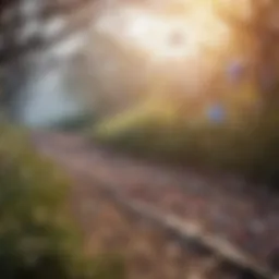 Diagram illustrating the biochemical pathway of histamine metabolism.