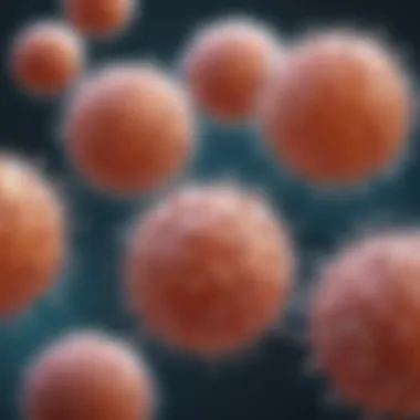 Mechanisms of action for Doxil liposome