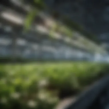 Hydroponic system utilizing electricity for plant growth