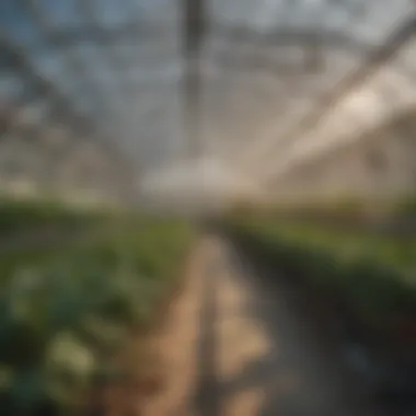 Renewable Energy Integration in Greenhouses Diagram of renewable energy integration in greenhouse systems