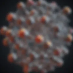 Structure of high fidelity polymerases showcasing their molecular complexity