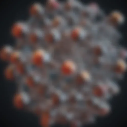 Structure of high fidelity polymerases showcasing their molecular complexity