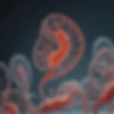 Techniques for Evaluating Polymerase Performance Innovative techniques to assess polymerase function and performance