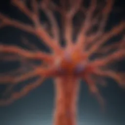 Exploring Iba1 Microglia: Function, Implications, and Future Directions Introduction