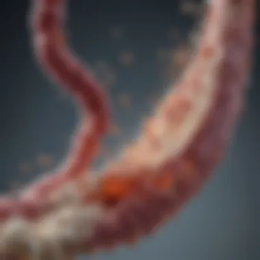 Infographic on gut health and probiotics